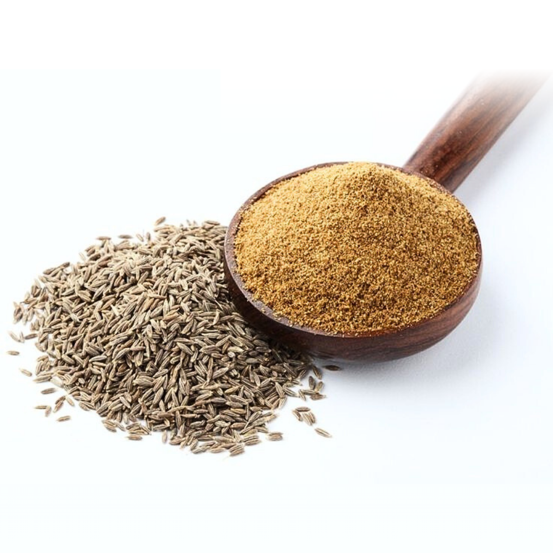 Jeera -Cumin Seed-Cuminum cyminum